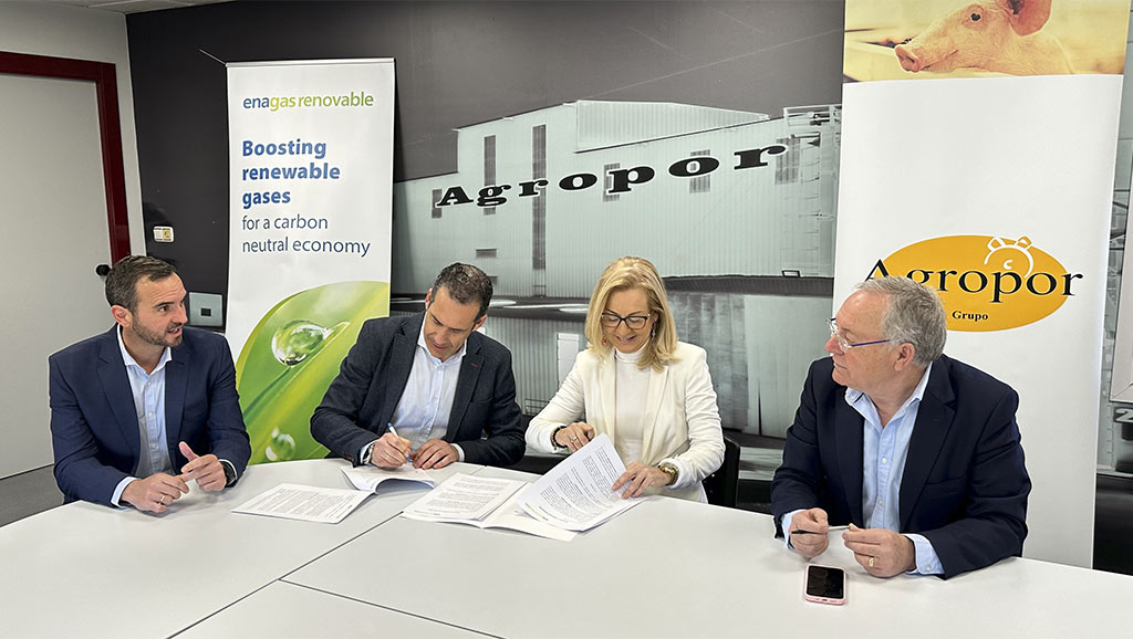 Enagás Renovable y Agropor firman un acuerdo para valorizar de forma sostenible los bioresiduos generados en la ganadería porcina en la Región de Murcia